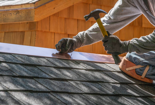 Best Roof Moss and Algae Removal  in Nesquehoning, PA